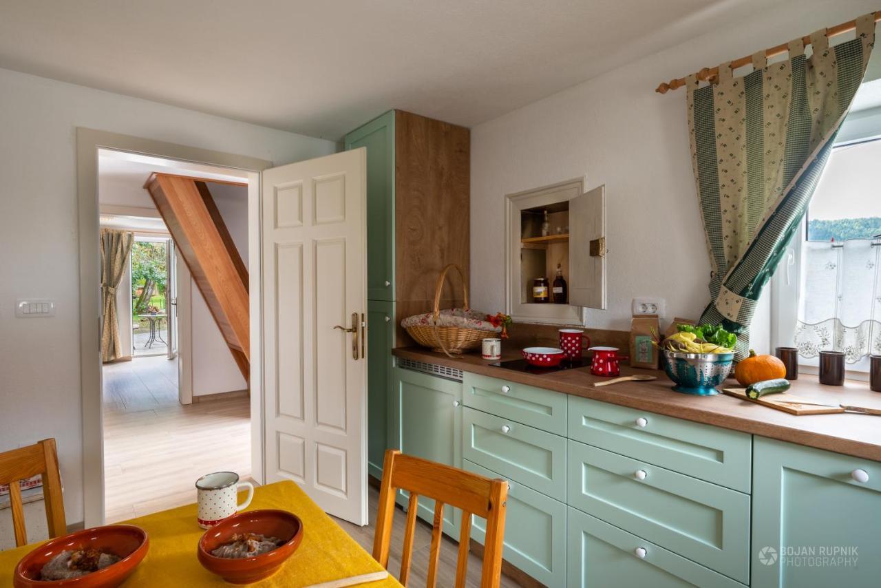 Cherry House - Cosy House - Ideal For Bear Watching, In The Neighborhood Of The Medieval Sneznik Castle Stari Trg pri Lozu エクステリア 写真