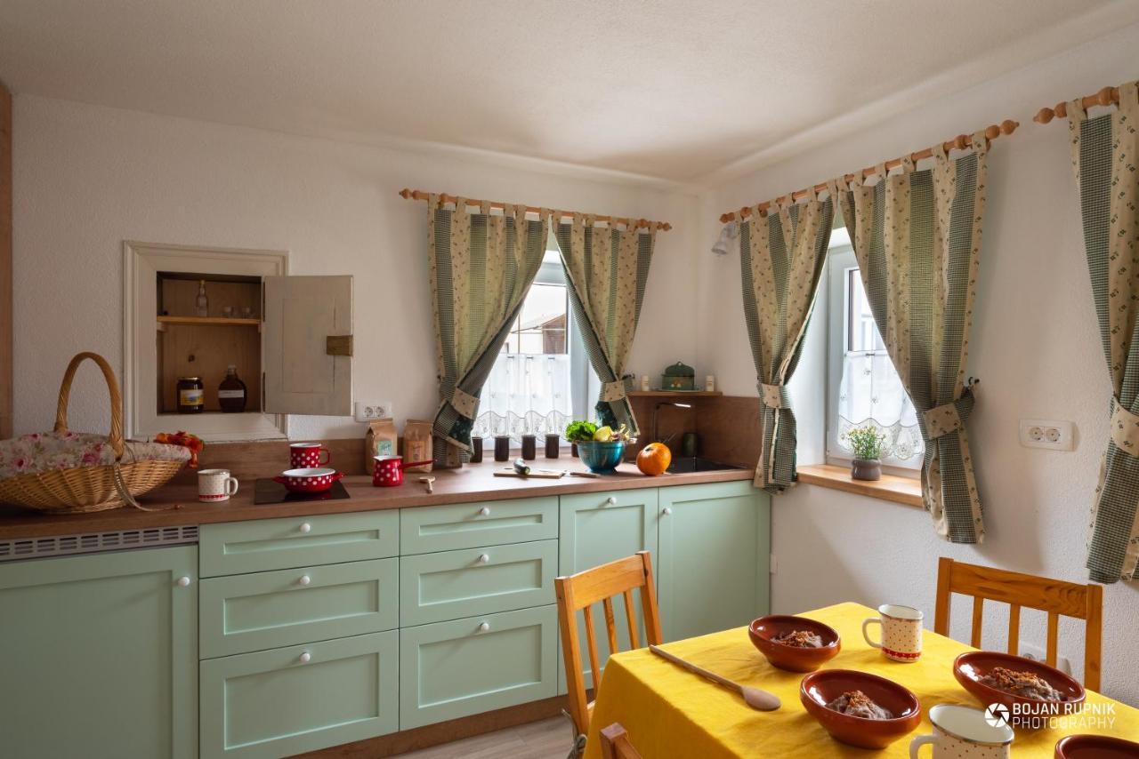 Cherry House - Cosy House - Ideal For Bear Watching, In The Neighborhood Of The Medieval Sneznik Castle Stari Trg pri Lozu エクステリア 写真
