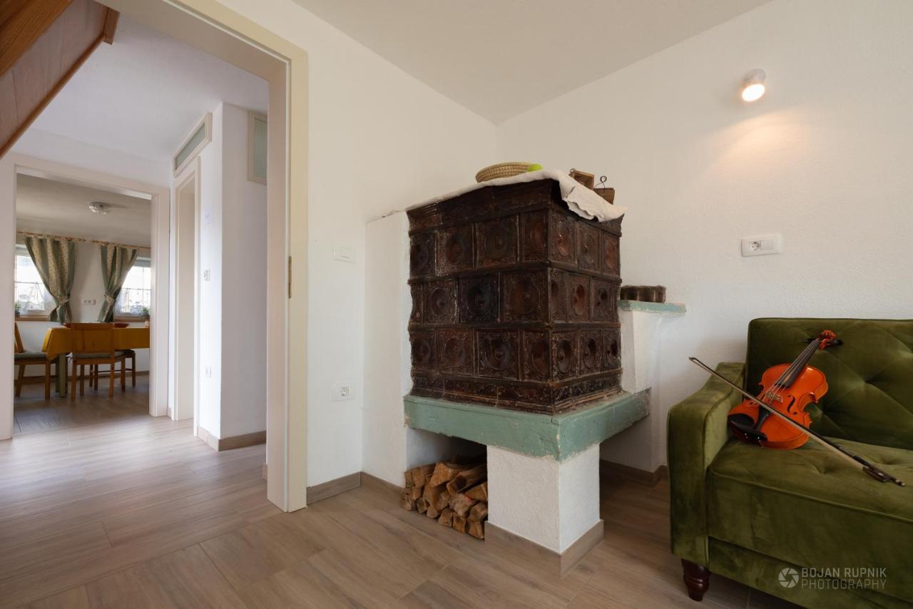 Cherry House - Cosy House - Ideal For Bear Watching, In The Neighborhood Of The Medieval Sneznik Castle Stari Trg pri Lozu エクステリア 写真