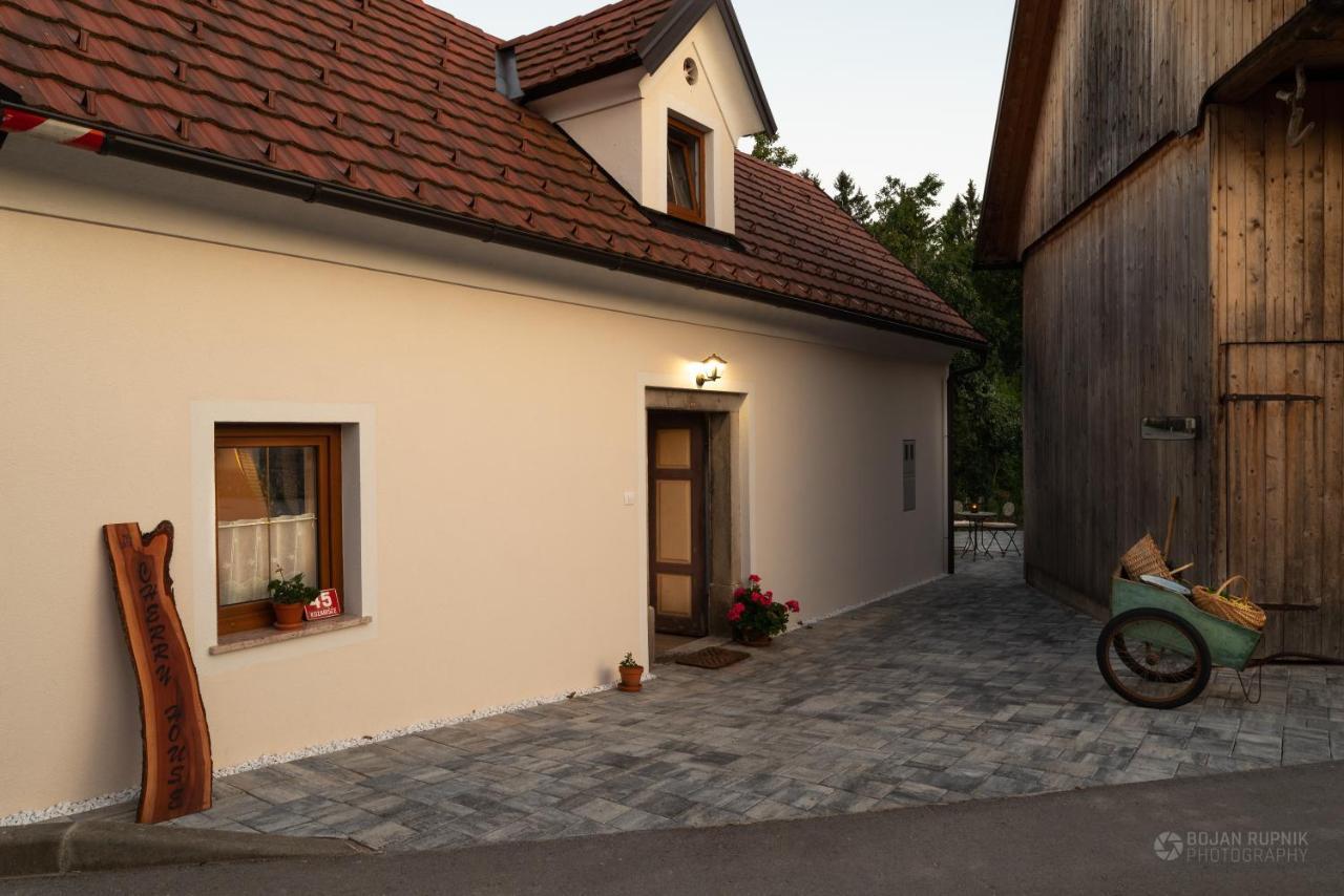 Cherry House - Cosy House - Ideal For Bear Watching, In The Neighborhood Of The Medieval Sneznik Castle Stari Trg pri Lozu エクステリア 写真