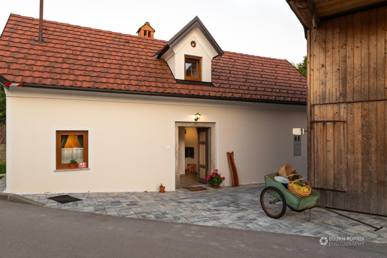 Cherry House - Cosy House - Ideal For Bear Watching, In The Neighborhood Of The Medieval Sneznik Castle Stari Trg pri Lozu エクステリア 写真