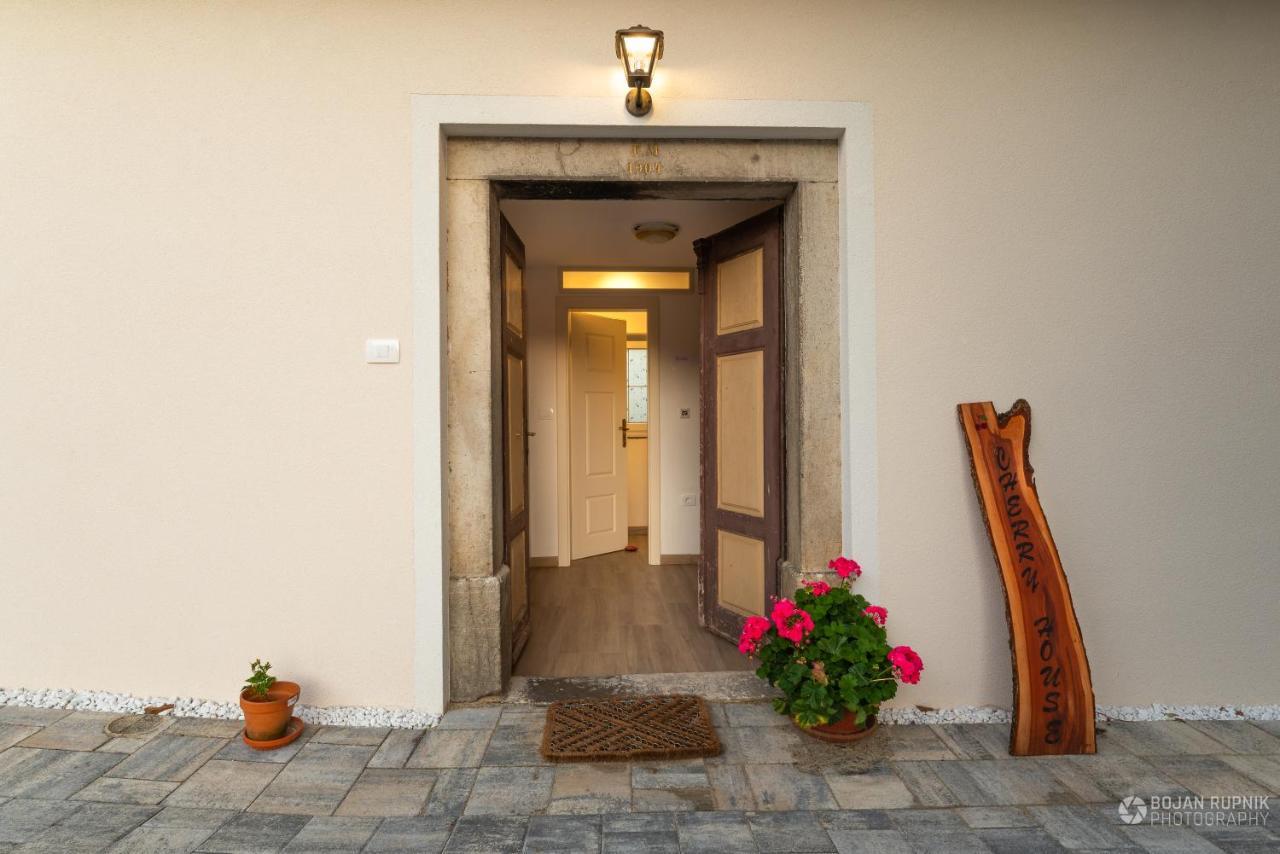 Cherry House - Cosy House - Ideal For Bear Watching, In The Neighborhood Of The Medieval Sneznik Castle Stari Trg pri Lozu エクステリア 写真