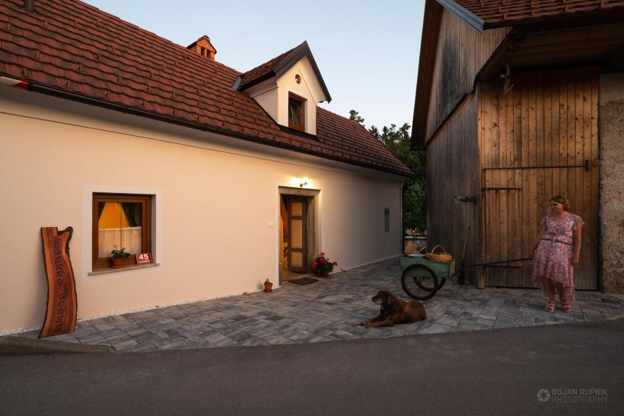 Cherry House - Cosy House - Ideal For Bear Watching, In The Neighborhood Of The Medieval Sneznik Castle Stari Trg pri Lozu エクステリア 写真