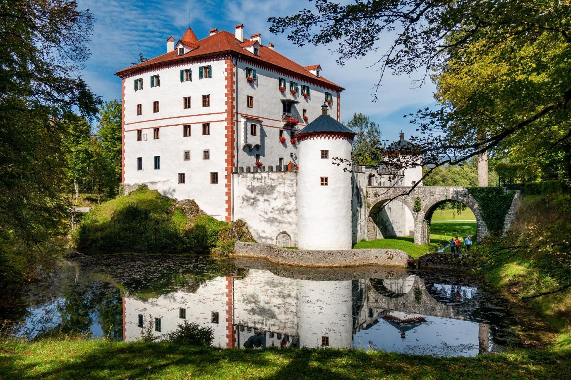 Cherry House - Cosy House - Ideal For Bear Watching, In The Neighborhood Of The Medieval Sneznik Castle Stari Trg pri Lozu エクステリア 写真